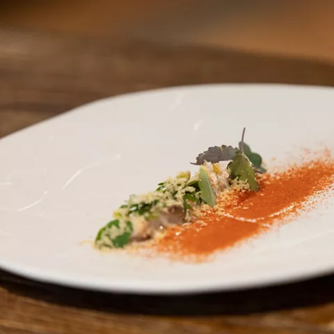 Plato minimalista con polvo de pimentón y brotes
