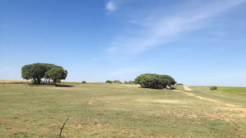 Green rodeado de encinas