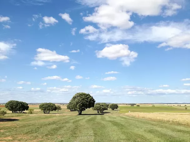 Vista amplia del campo de juego