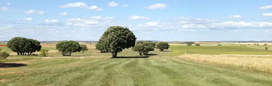 Vista amplia del campo de juego