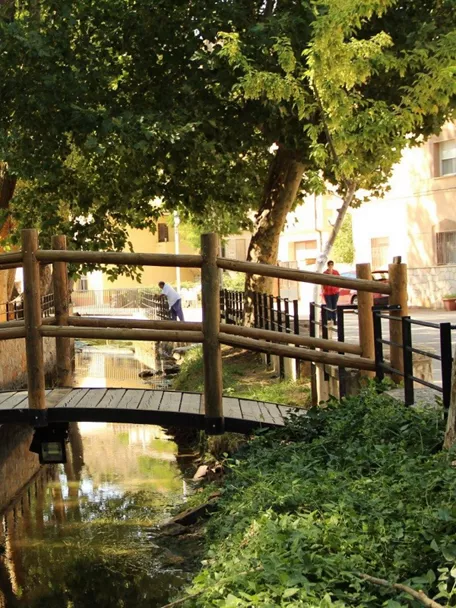 Puente de madera sobre canal rodeado de árboles