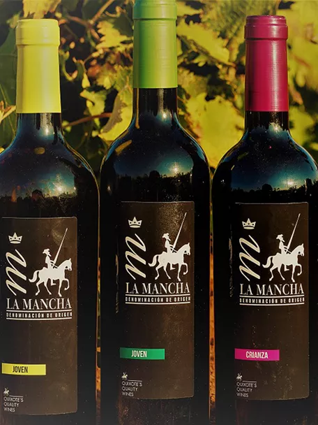 Botellas de vino tinto sobre suelo de viñedo