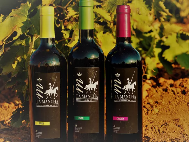 Botellas de vino tinto sobre suelo de viñedo