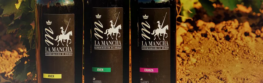 Botellas de vino tinto sobre suelo de viñedo