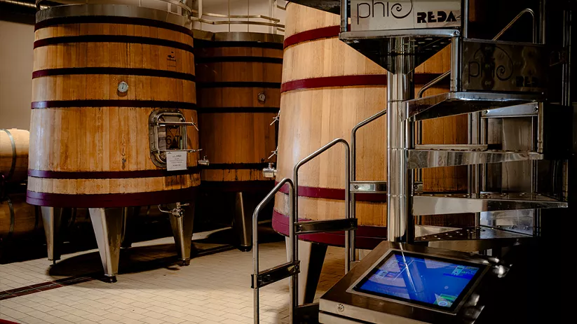 Depósitos de fermentación en bodega