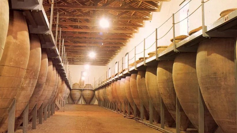 Interior de bodega con grandes tinajas alineadas