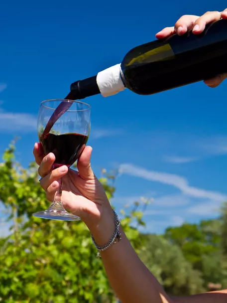 Servicio de vino en viñedo