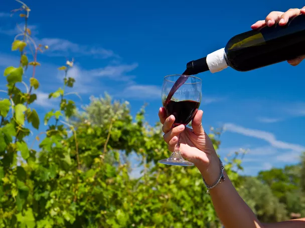 Servicio de vino en viñedo