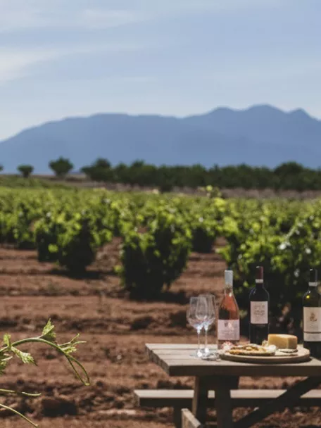 Mesa de cata en un viñedo con botellas y copas, con filas de vides y montañas al fondo.