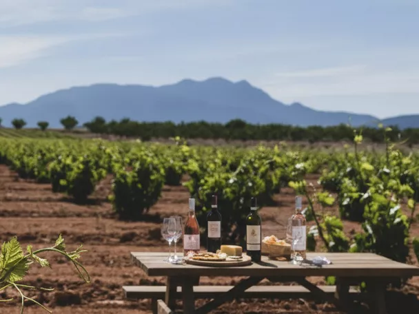Mesa de cata en un viñedo con botellas y copas, con filas de vides y montañas al fondo.