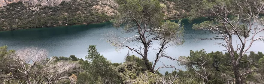 Embalse rodeado de laderas verdes y vegetación mediterránea