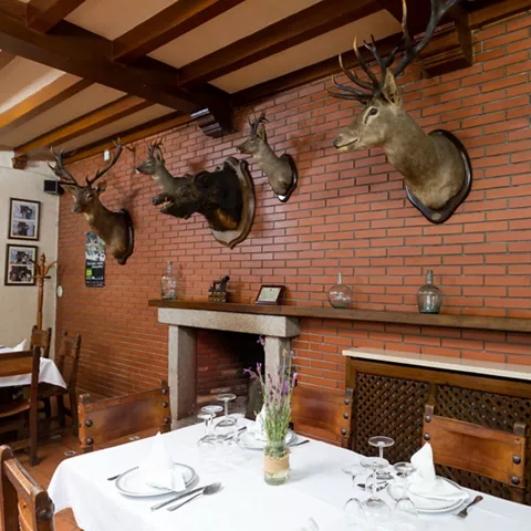 Salón rústico con cabezas de caza en pared de ladrillo