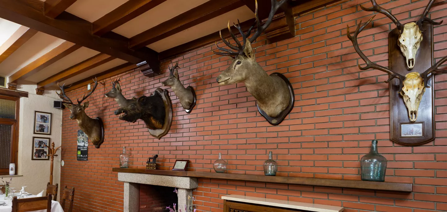 Casa Apelio | Web oficial de Turismo de Castilla-La Mancha