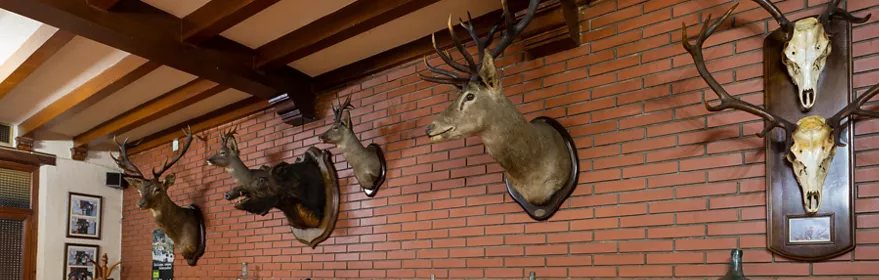 Salón rústico con cabezas de caza en pared de ladrillo