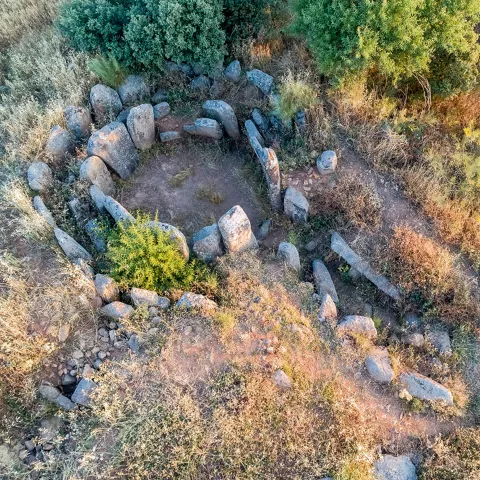 Detalle aéreo de círculo de piedras entre vegetación