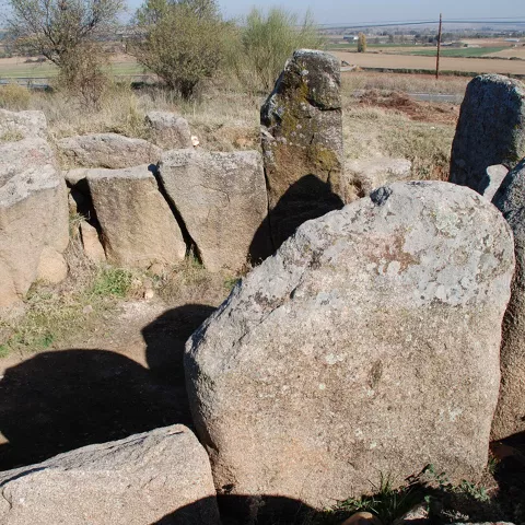 Estructura megalítica de piedras vista a ras de suelo