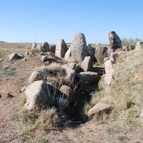 Galería de piedras alineadas en terreno abierto