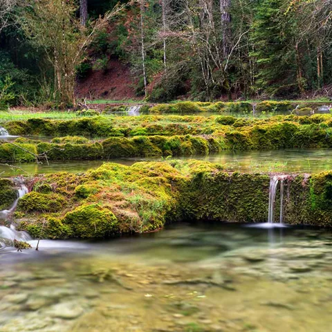 Imagen del Hosquillo un paisaje natural de agua y naturaleza