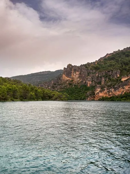 Embalse rodeado de pinos