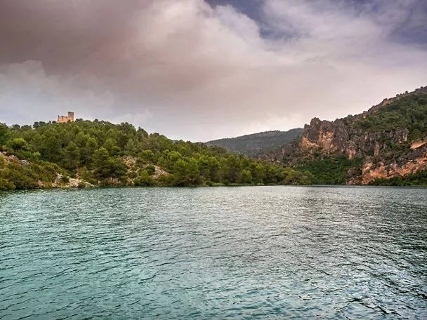 Embalse rodeado de pinos