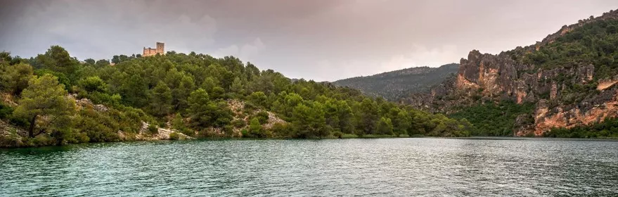 Embalse rodeado de pinos