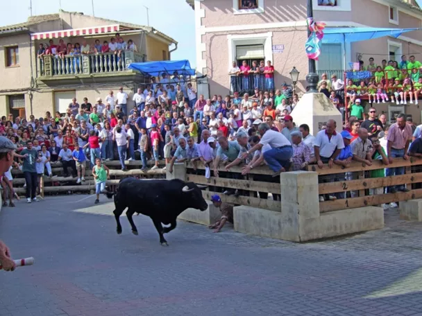 Toro corre por plaza vallada ante numeroso público.