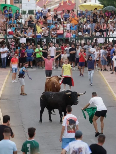 Encierro urbano con toros y participantes en la calle