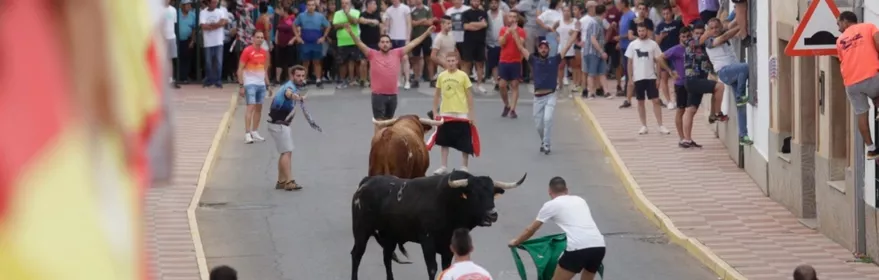 Encierro urbano con toros y participantes en la calle