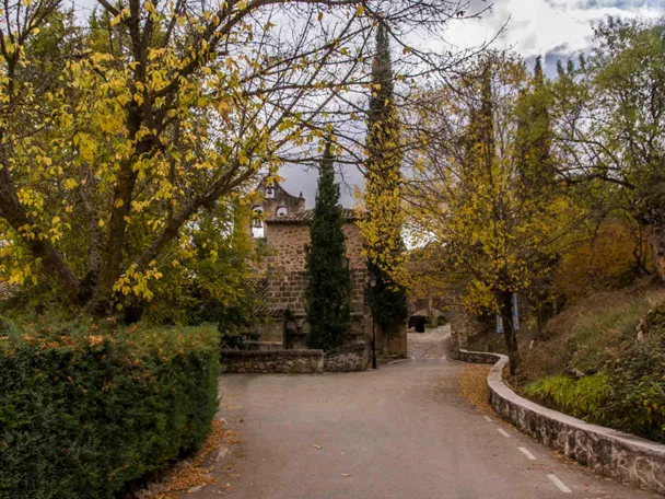 Camino entre árboles hacia monasterio histórico.