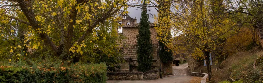 Camino entre árboles hacia monasterio histórico.