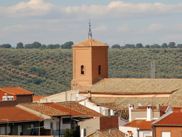 Vista del pueblo con torre y tejados entre olivares
