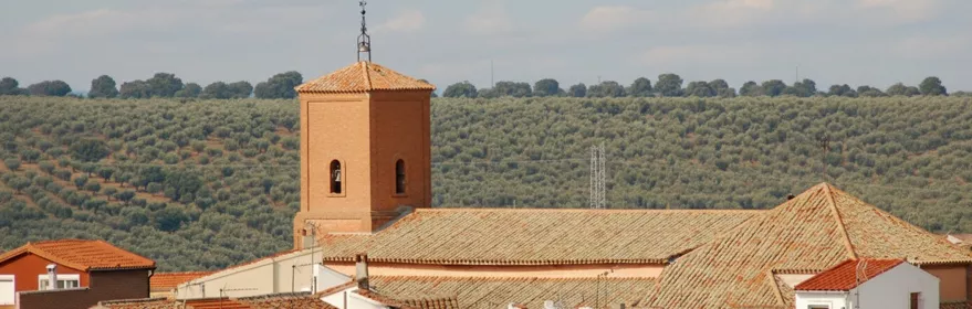 Vista del pueblo con torre y tejados entre olivares