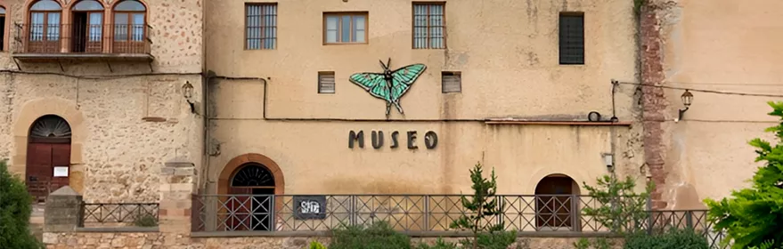 Fachada de museo con mariposa decorativa.