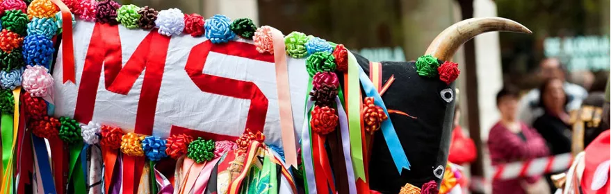 Figura decorada con telas y cuernos durante una celebración popular.