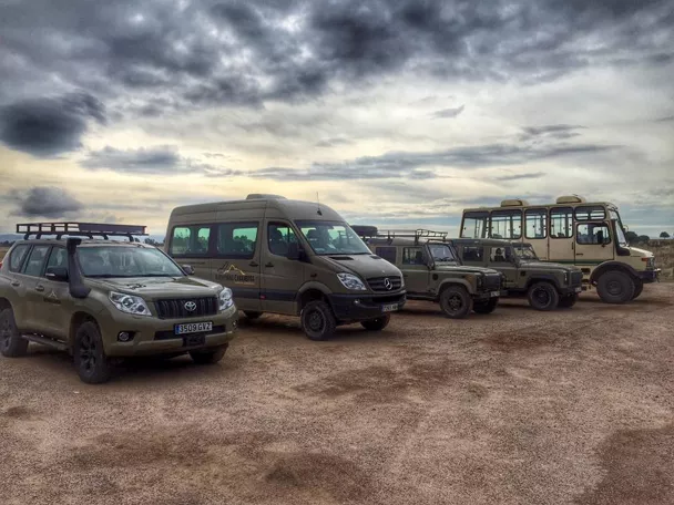 Flota propia para visitas guiadas en el Parque Nacional de Cabañeros y Montes de Toledo: rutas de naturaleza para grupos, colegios y empresa