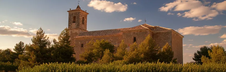 Iglesia de piedra entre árboles y vegetación