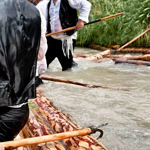 Gancheros del Tajo, Revival of the ancient work of taking the woods from the forest to the towns. Guadalajara and Cuenca province. Castilla La Mancha, Spain