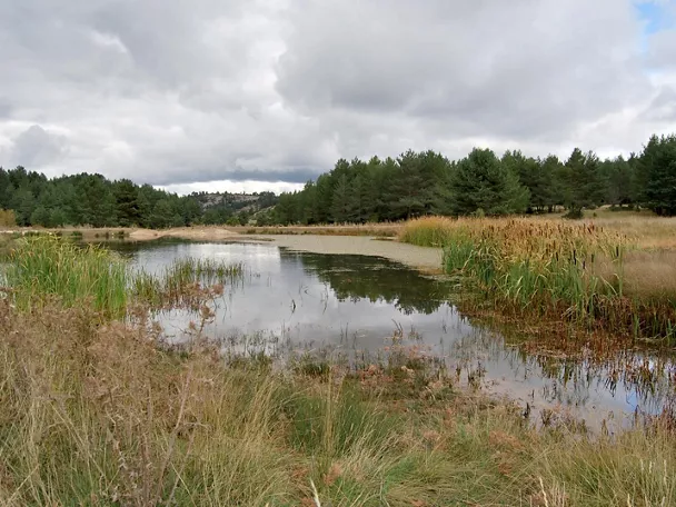 Laguna en Checa, parque natural del Alto Tajo.