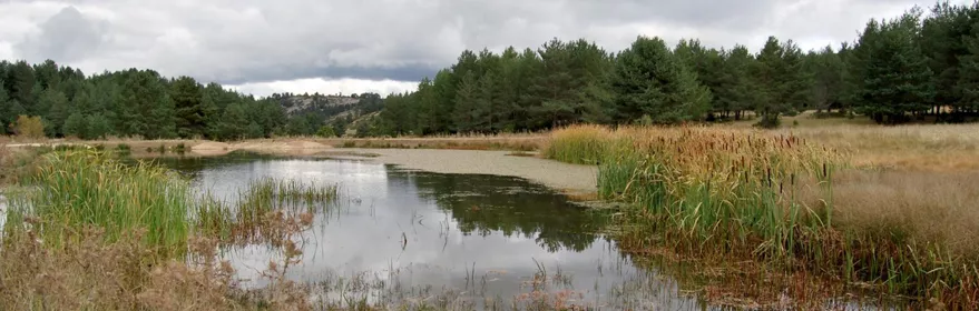 Laguna en Checa, parque natural del Alto Tajo.