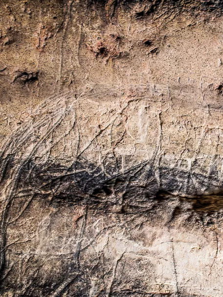 Grabados animales sobre roca caliza