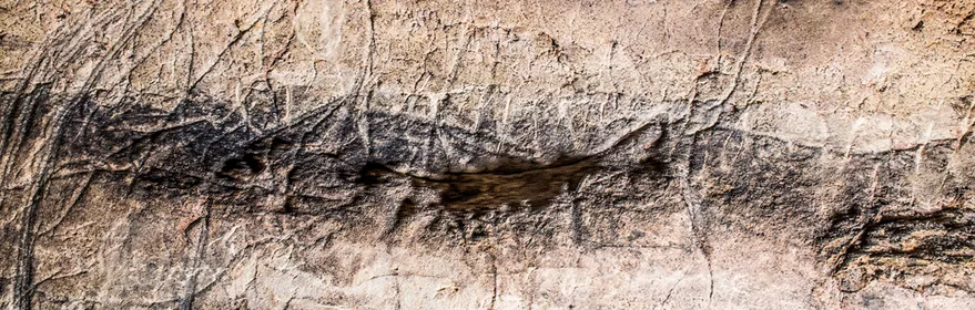 Grabados animales sobre roca caliza