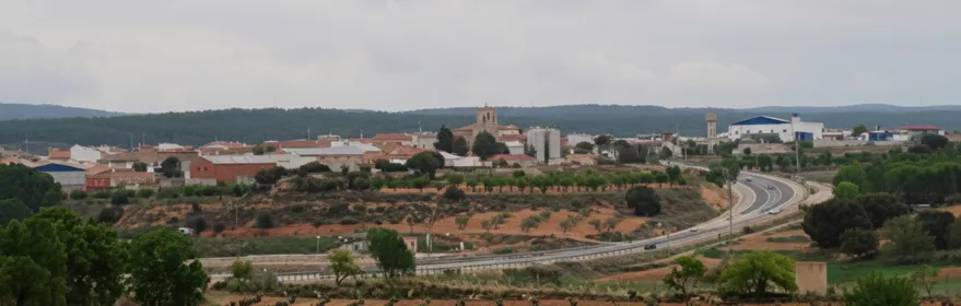 Vista del casco urbano con viñedos en primer plano