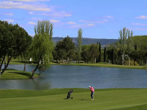 Campo de golf rodeado de pinos y pradera abierta