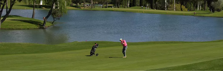 Campo de golf rodeado de pinos y pradera abierta
