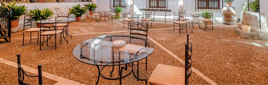 Antigua Casona Manchega