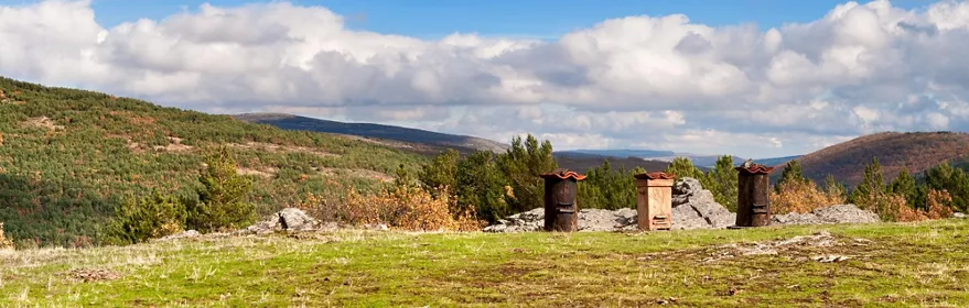 Paisaje de montaña con praderas verdes, colinas boscosas y cielo azul con nubes.