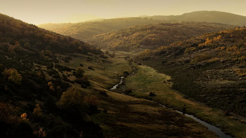 Valle fluvial entre montañas cubiertas de bosque.