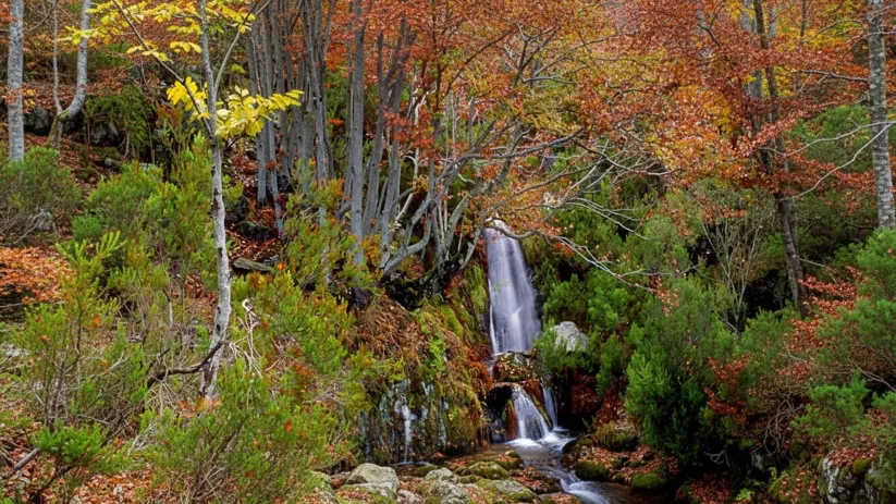 Cascada pequeña rodeada de bosque en otoño.