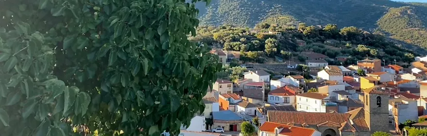 Vista del pueblo con montaña y árbol en primer plano