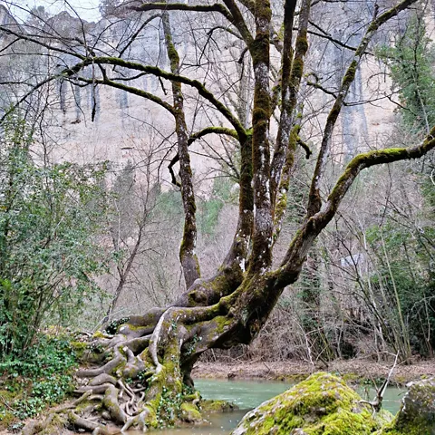 Vista de la hoz de Beteta